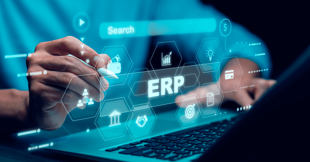 Custom ERP Development