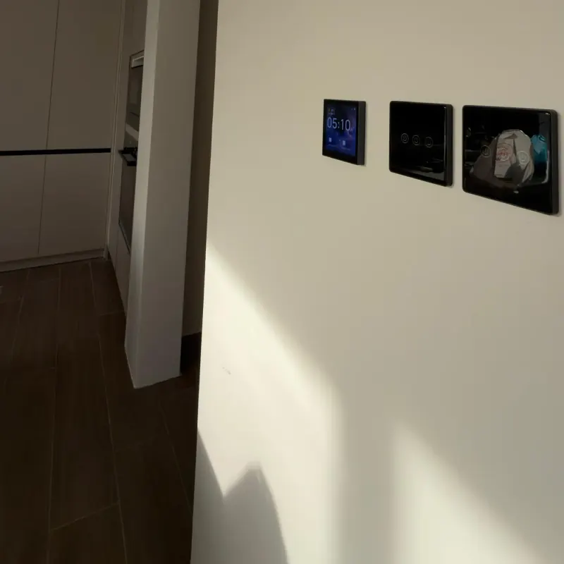 Octonics Project 6